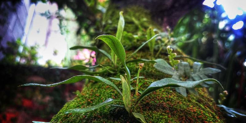 葫芦岛幼儿园特色课程深度解析:从海洋主题探究到日式禅意教育的本土实践