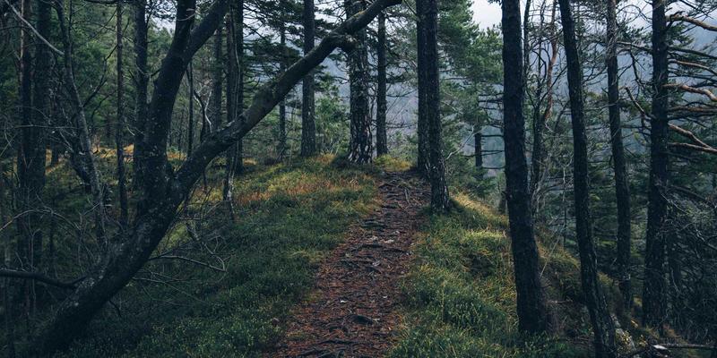 蓝色海洋中的成长方舟：葫芦岛幼儿园家园共育模式探索与实践